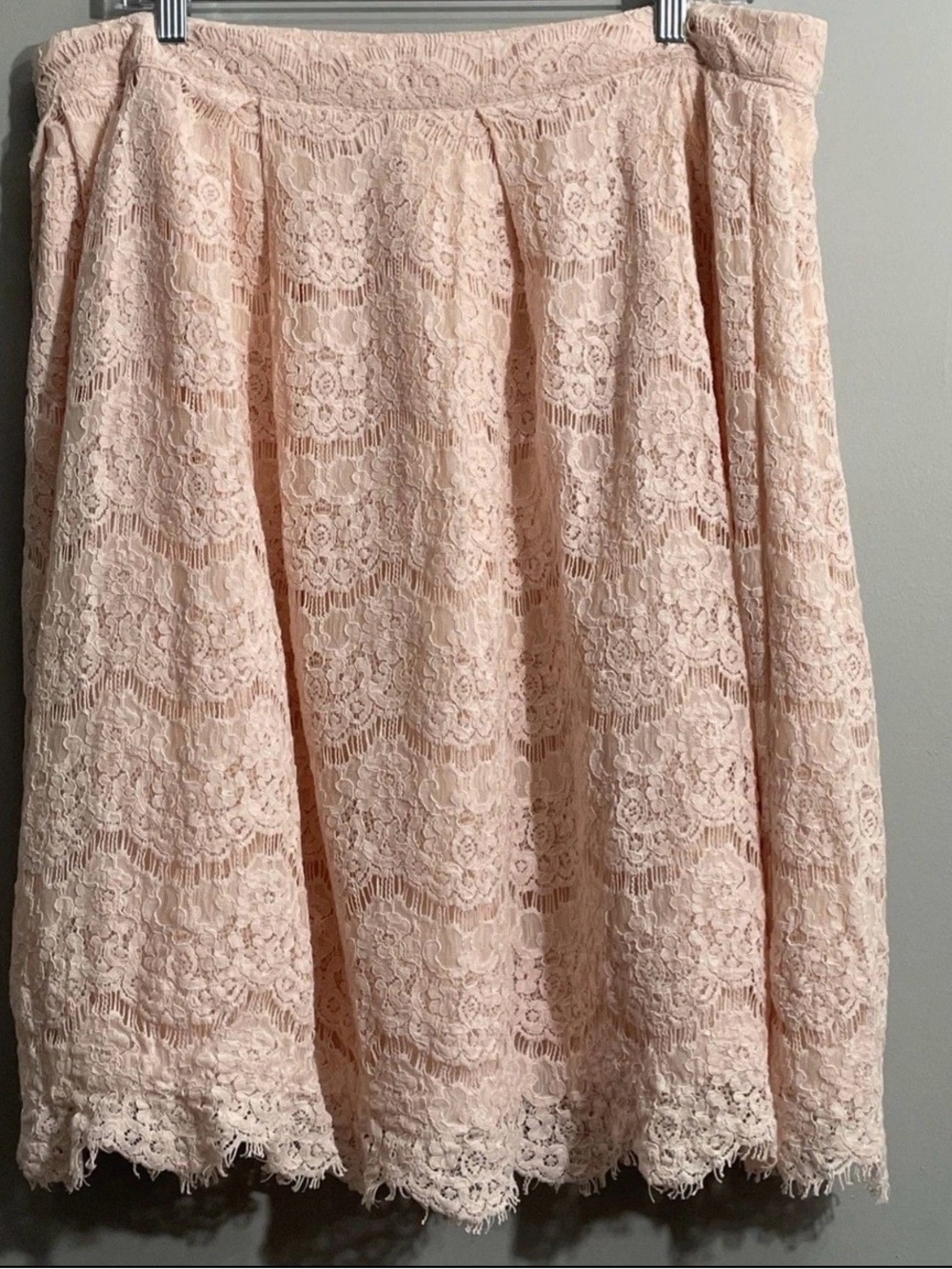 Forever 21 Blush Pink Lace Midi Skirt